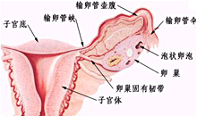 南京妇儿康不孕不育医院健康百科
